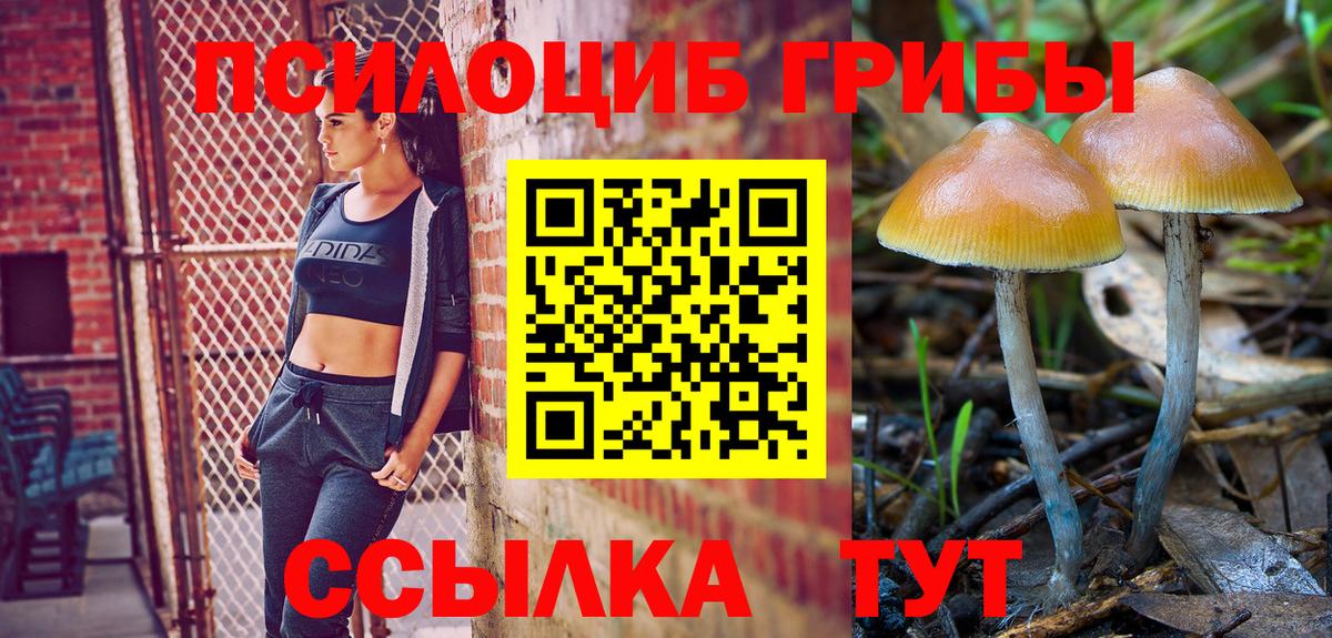 Псилоцибиновые грибы мухоморы  Вход с VPN  Галлюциногенные грибы Cubensis  Будённовск 
